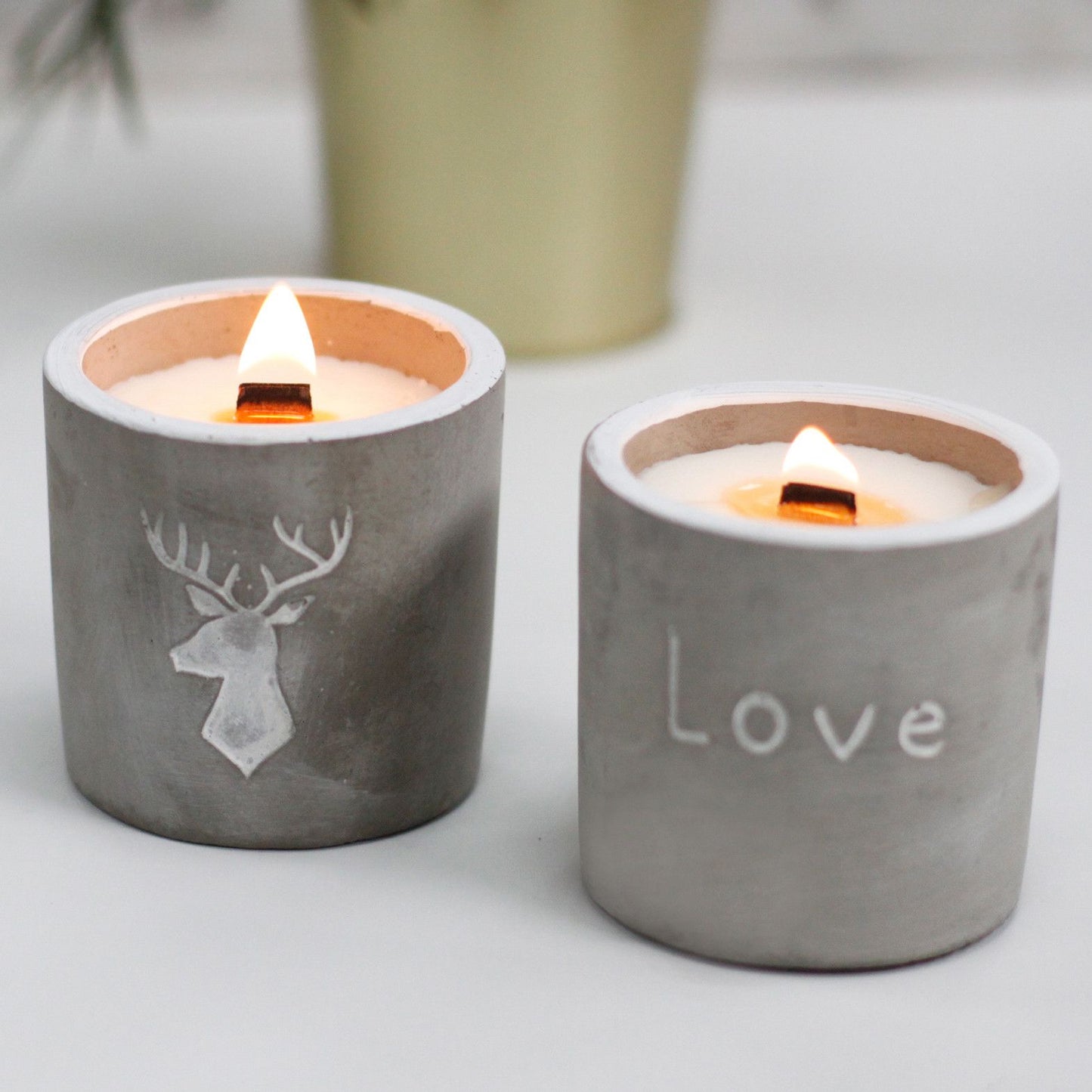 Med Concrete Soy Candle - Love - Purple Fig & Casis
