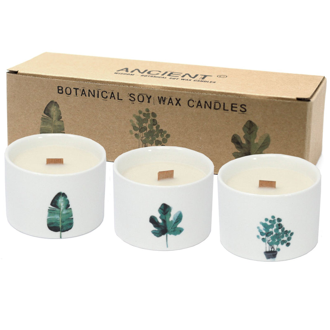 A set of three medium botanical soy candles with a Japanese Garden scent, decorated with dried flowers in clear glass jars.