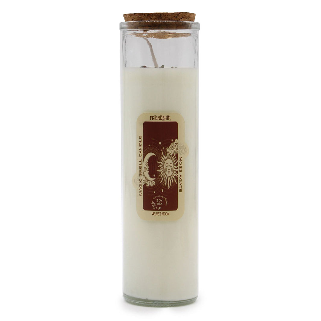 A tall ritual pillar candle labeled "Friendship" with beautiful botanical and celestial illustrations on the outer packaging.