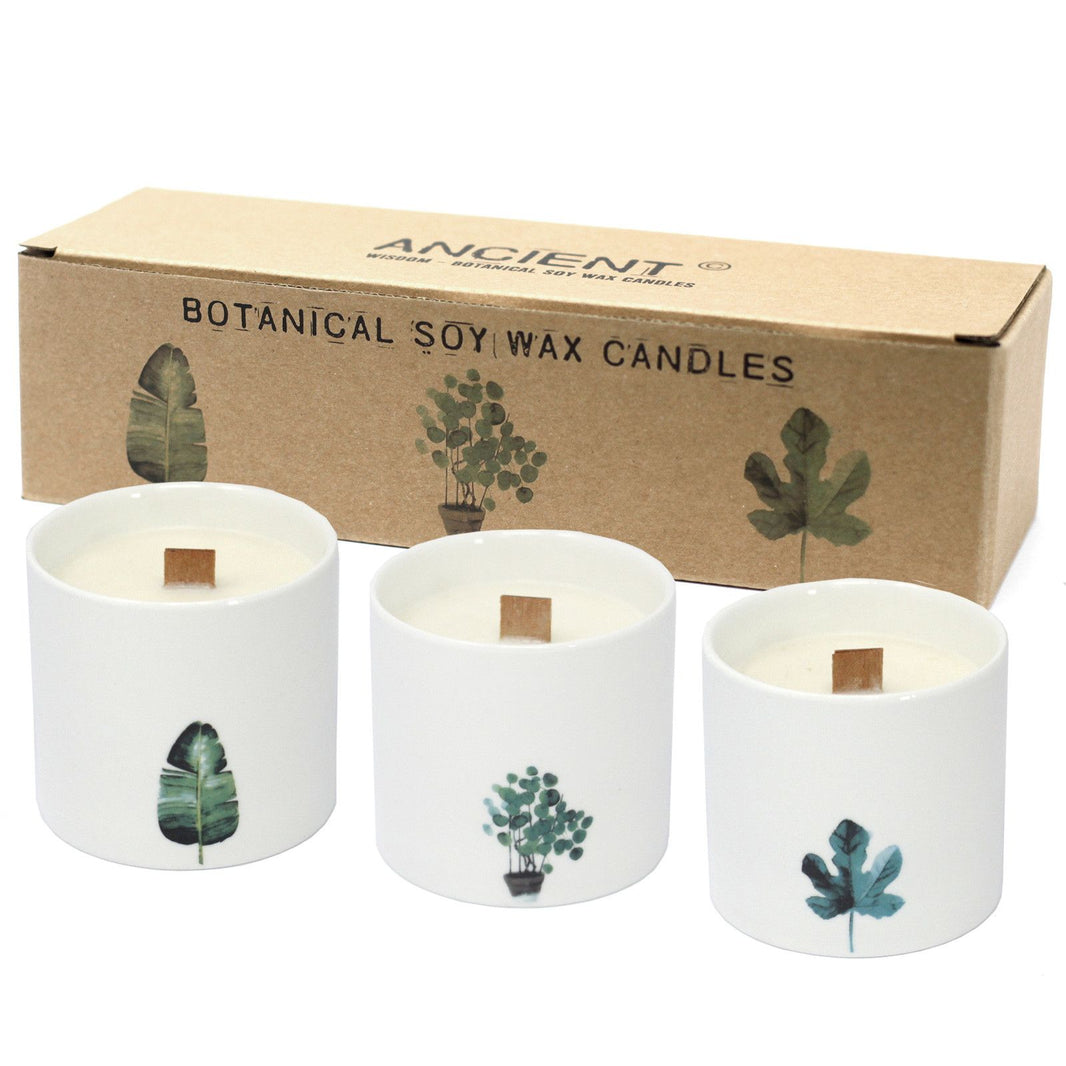 Three large botanical glass candles with a wild jasmine scent, decorated with beautiful dried jasmine petals.