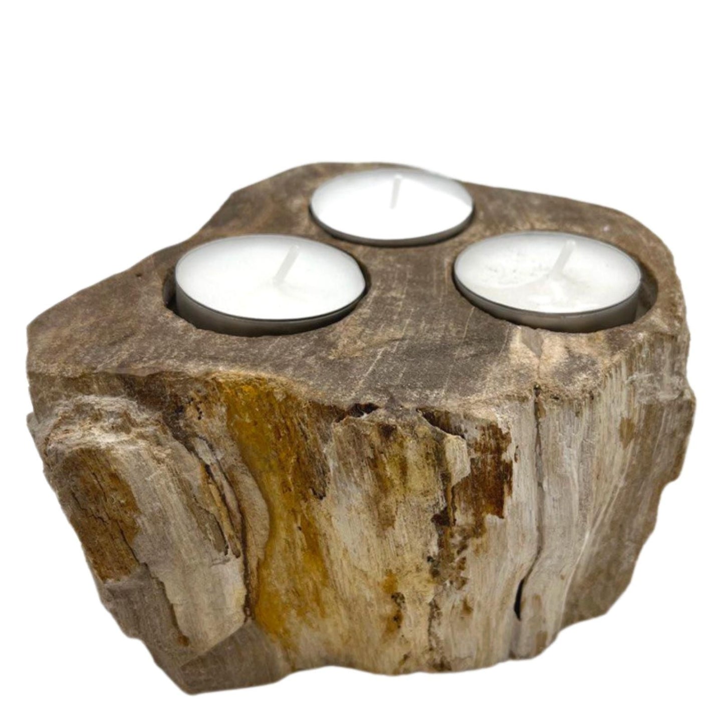 A large, rustic triple candle holder made from a solid piece of natural petrified wood with three slots for tealight candles.
