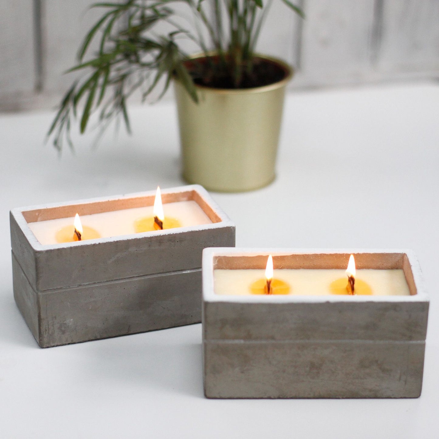Large Concrete Soy Candle  - Clove & Dark Sandal