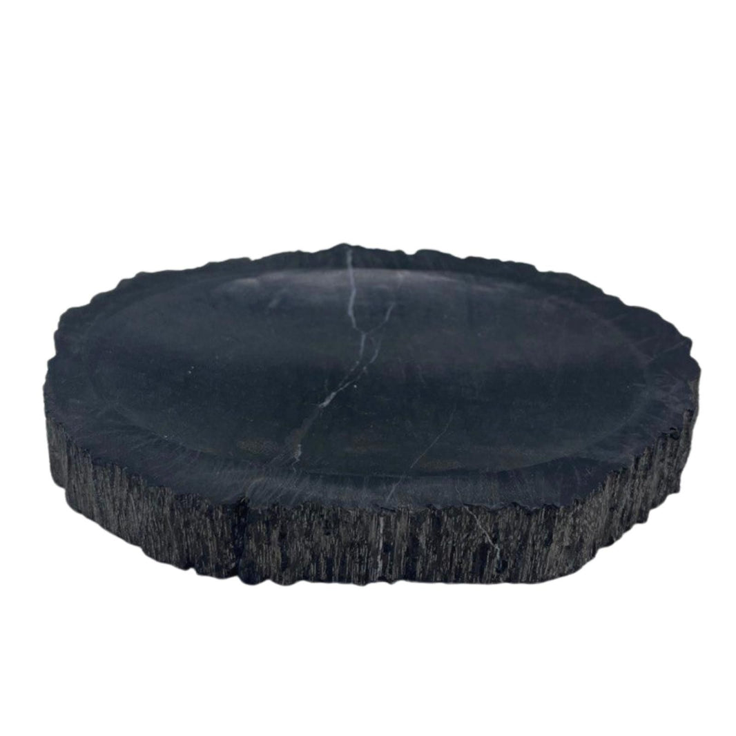 A heavy, polished black soap dish made from a solid piece of natural petrified wood, showing prehistoric stone textures.
