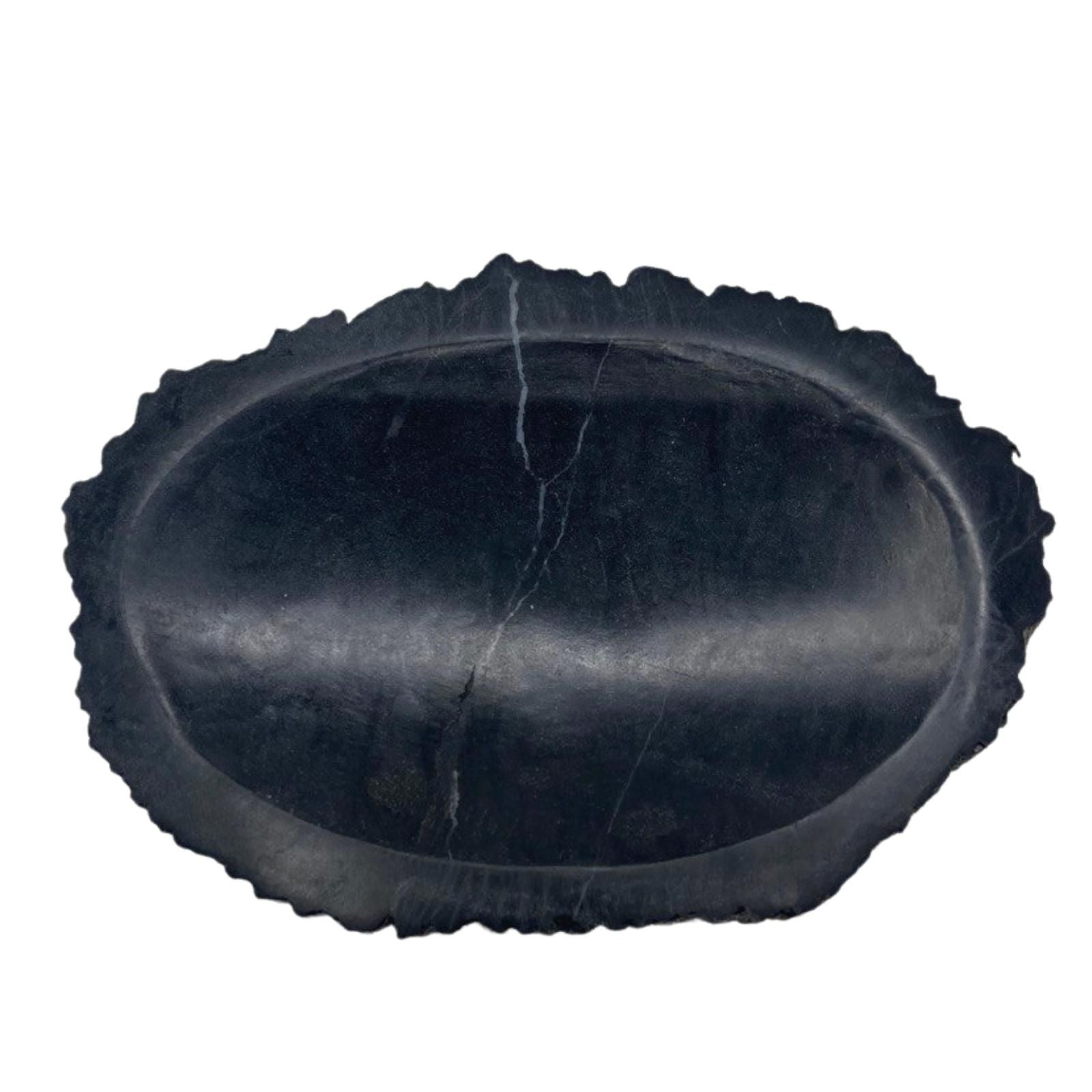 A heavy, polished black soap dish made from a solid piece of natural petrified wood, showing prehistoric stone textures.