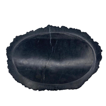 A heavy, polished black soap dish made from a solid piece of natural petrified wood, showing prehistoric stone textures.