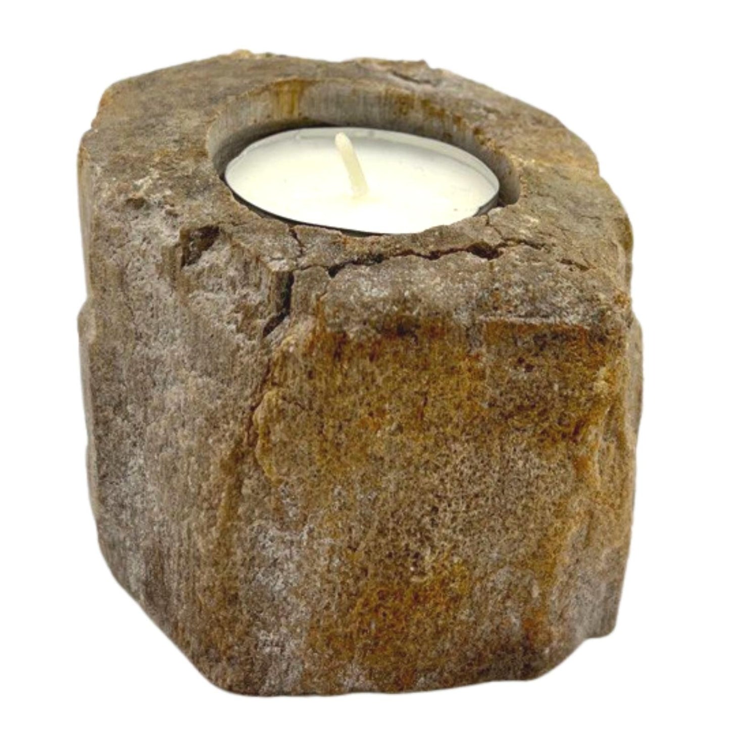 A short, sturdy candle holder carved from a single piece of petrified wood, featuring a hole for a tealight or small candle.