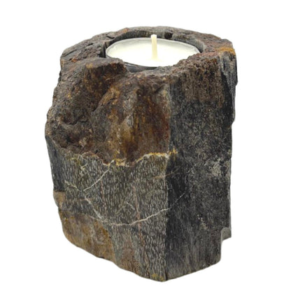 A short, sturdy candle holder carved from a single piece of petrified wood, featuring a hole for a tealight or small candle.