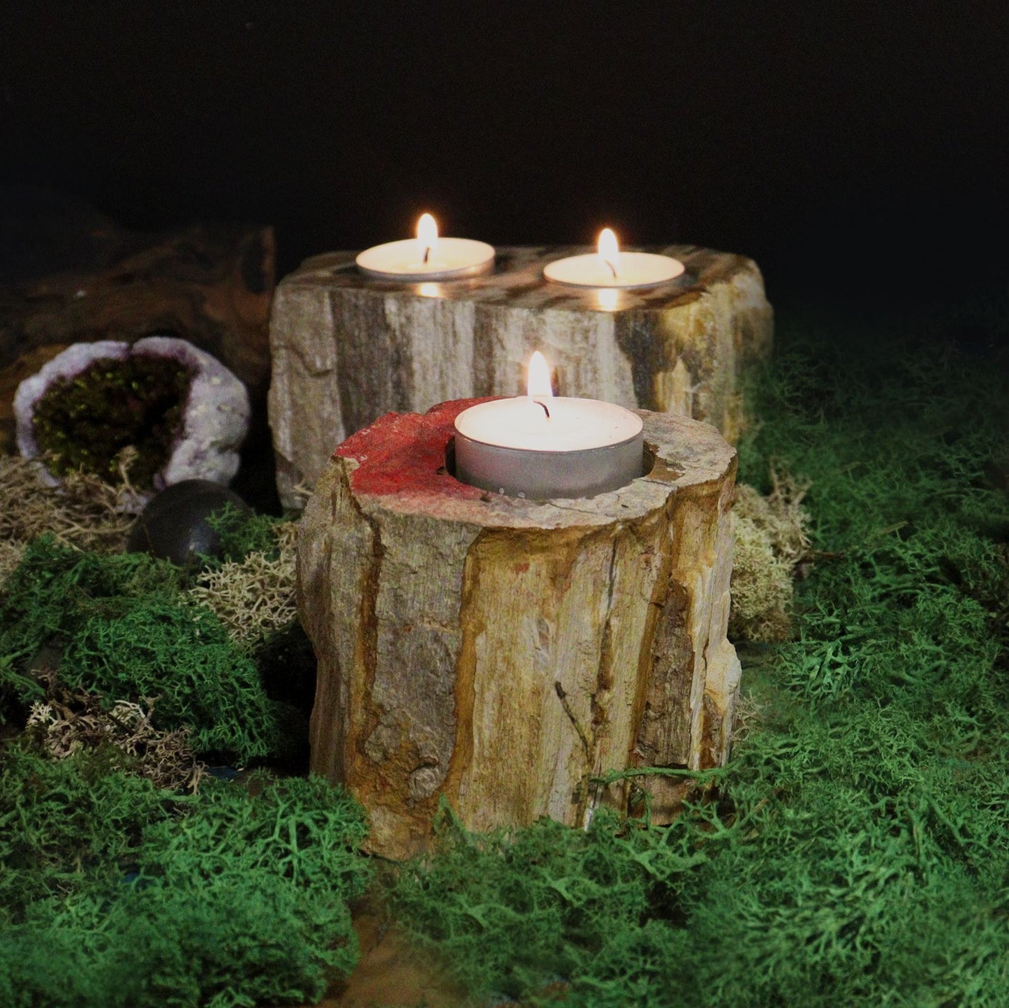 A short, sturdy candle holder carved from a single piece of petrified wood, featuring a hole for a tealight or small candle.