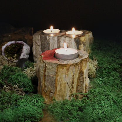 A short, sturdy candle holder carved from a single piece of petrified wood, featuring a hole for a tealight or small candle.