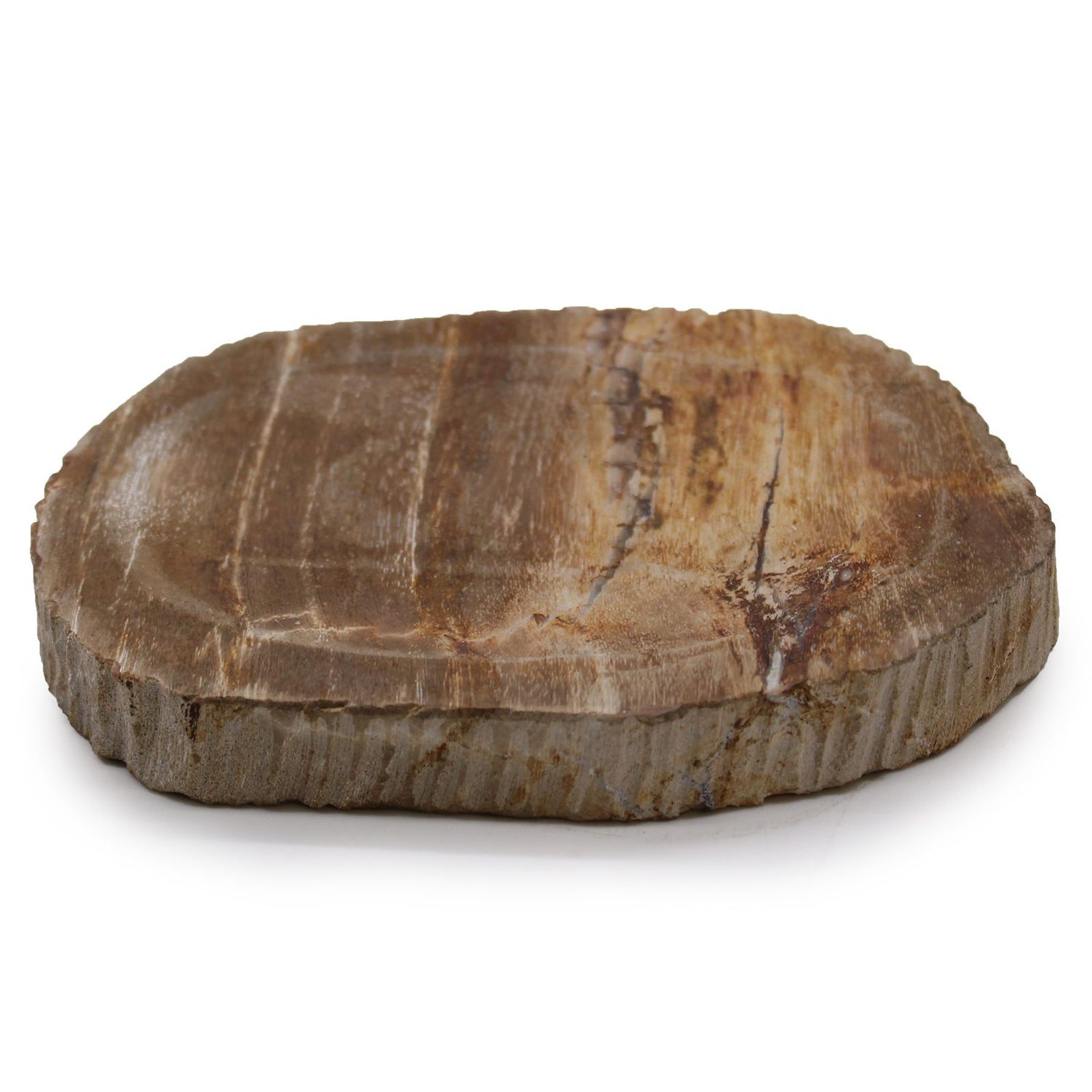 A heavy, polished soap dish carved from a natural piece of brown petrified wood, showing unique prehistoric stone grain.