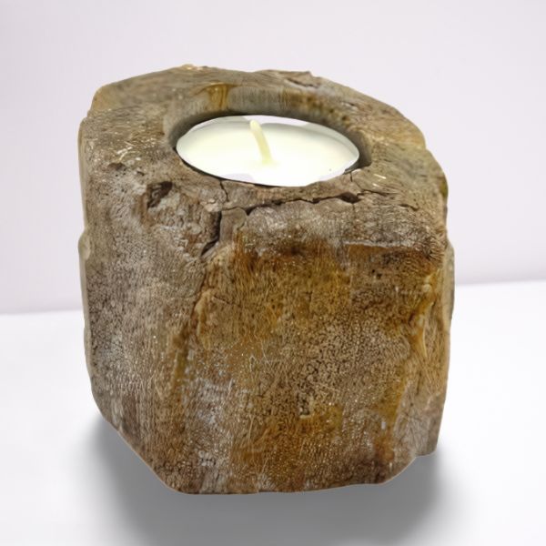 A short, sturdy candle holder carved from a single piece of petrified wood, featuring a hole for a tealight or small candle.