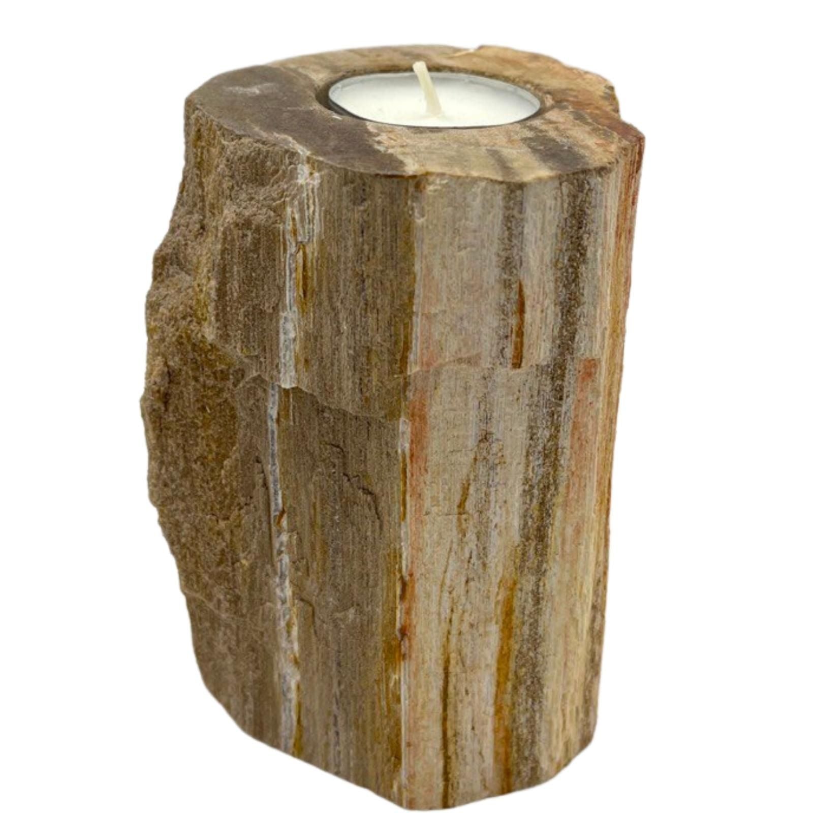 A tall, polished single candle holder made from natural petrified wood stone, showing unique ancient wood grain and earth tones.