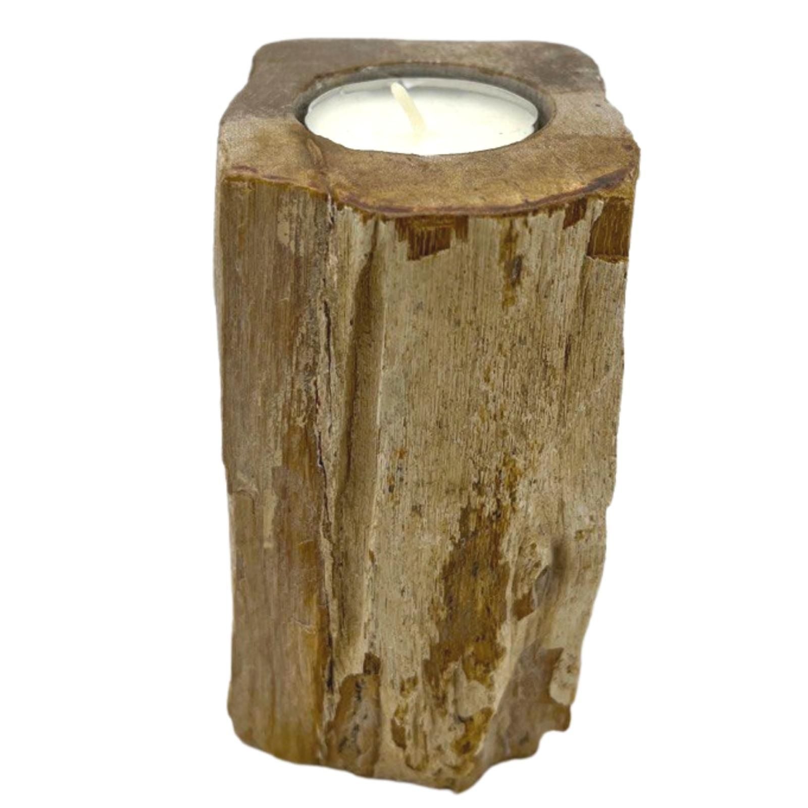 A tall, polished single candle holder made from natural petrified wood stone, showing unique ancient wood grain and earth tones.