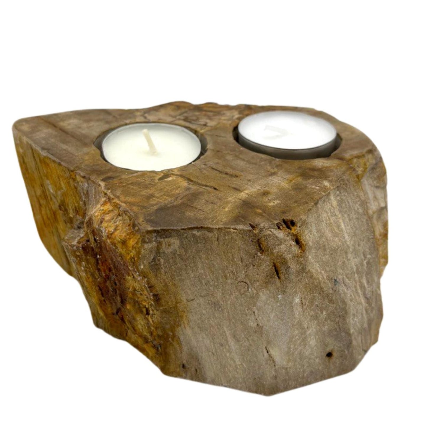 A heavy, polished double candle holder made from natural petrified wood with two holes for tealight candles.