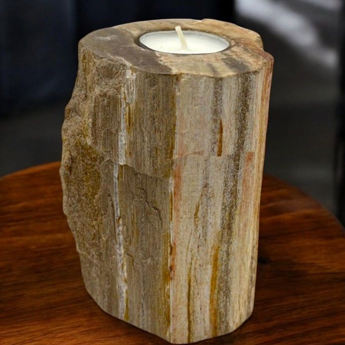 A tall, polished single candle holder made from natural petrified wood stone, showing unique ancient wood grain and earth tones.