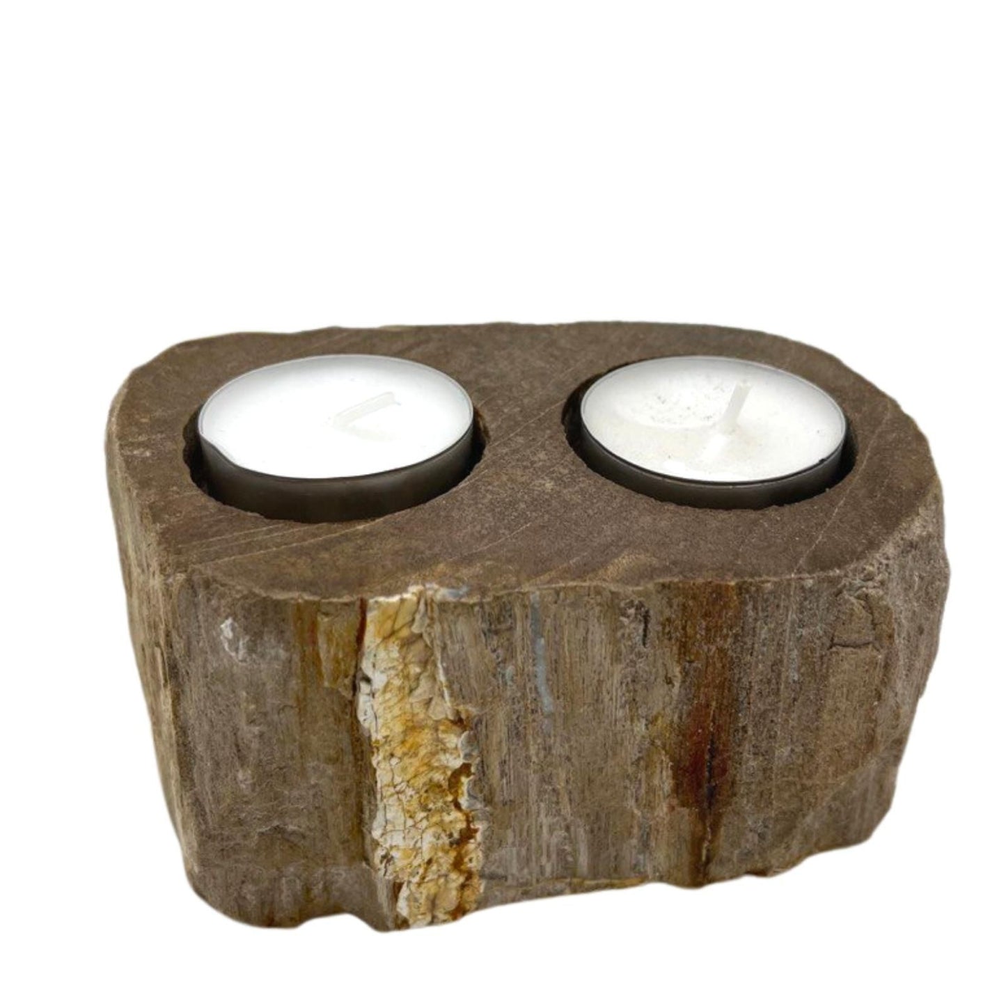 A heavy, polished double candle holder made from natural petrified wood with two holes for tealight candles.