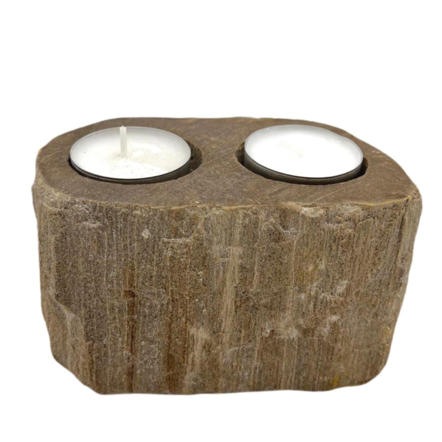 A heavy, polished double candle holder made from natural petrified wood with two holes for tealight candles.