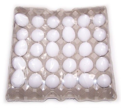 Bath Eggs - Coconut 6x60g