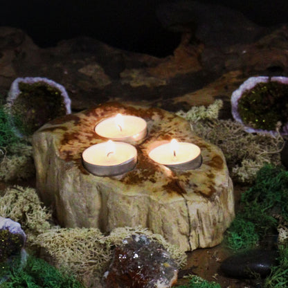A large, rustic triple candle holder made from a solid piece of natural petrified wood with three slots for tealight candles.